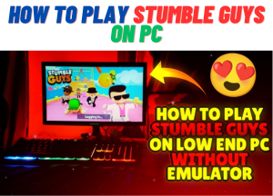 How to Play Stumble Guys on PC